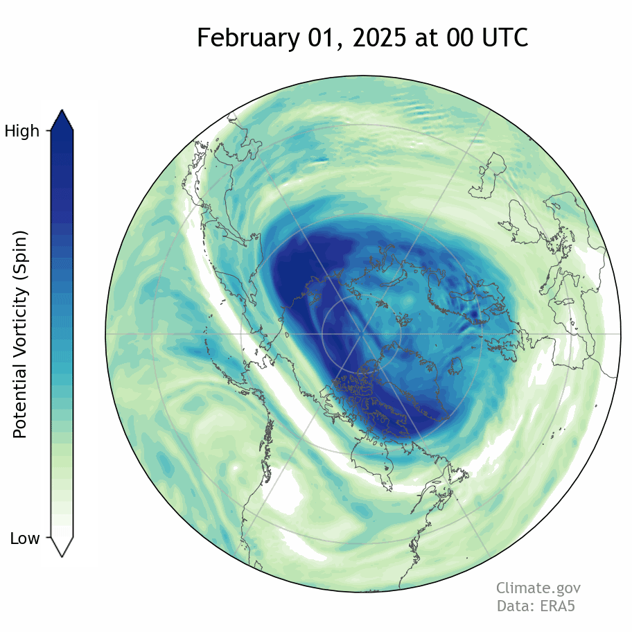 Daily evolution of stratospheric potential vorticity in the polar vortex during February 2025